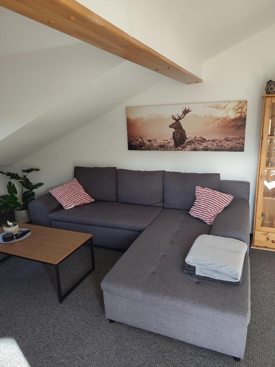 Apartment Schmidt Bayerisch Eisenstein